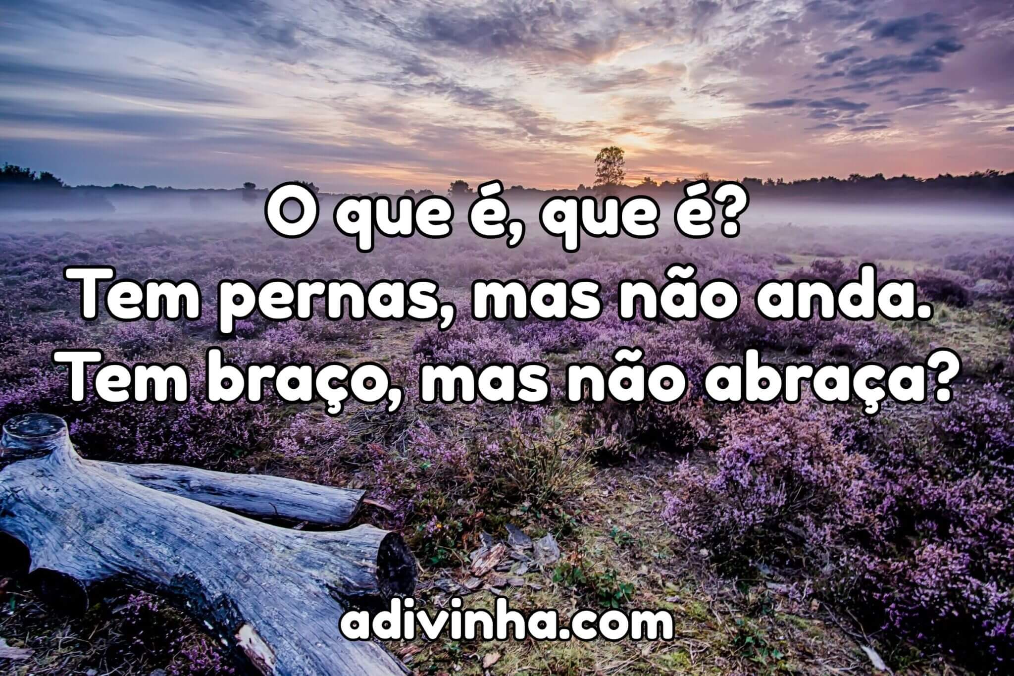 O que e Pernas não Anda · Adivinhas Populares